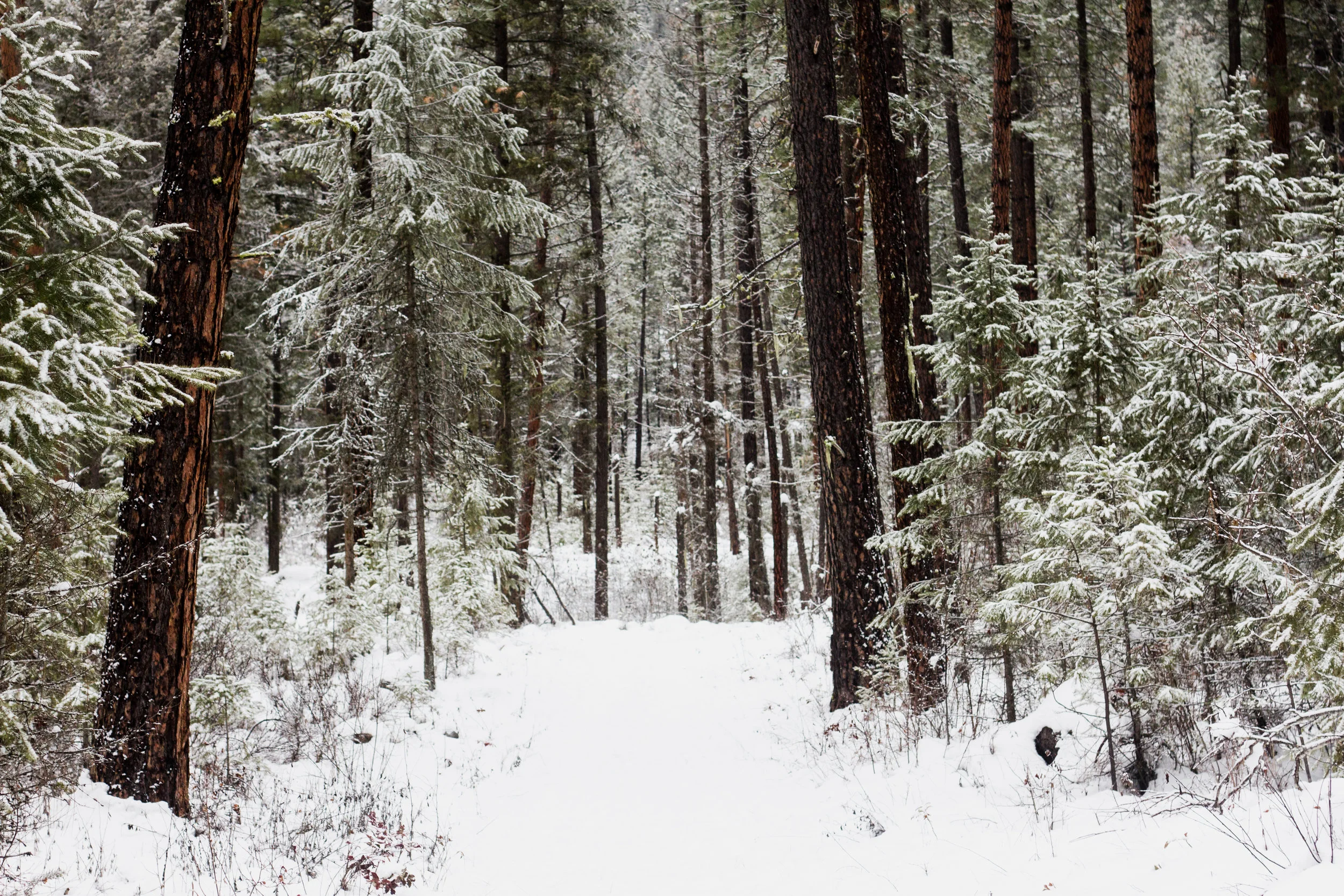 lake.01.03.19-18.jpg
