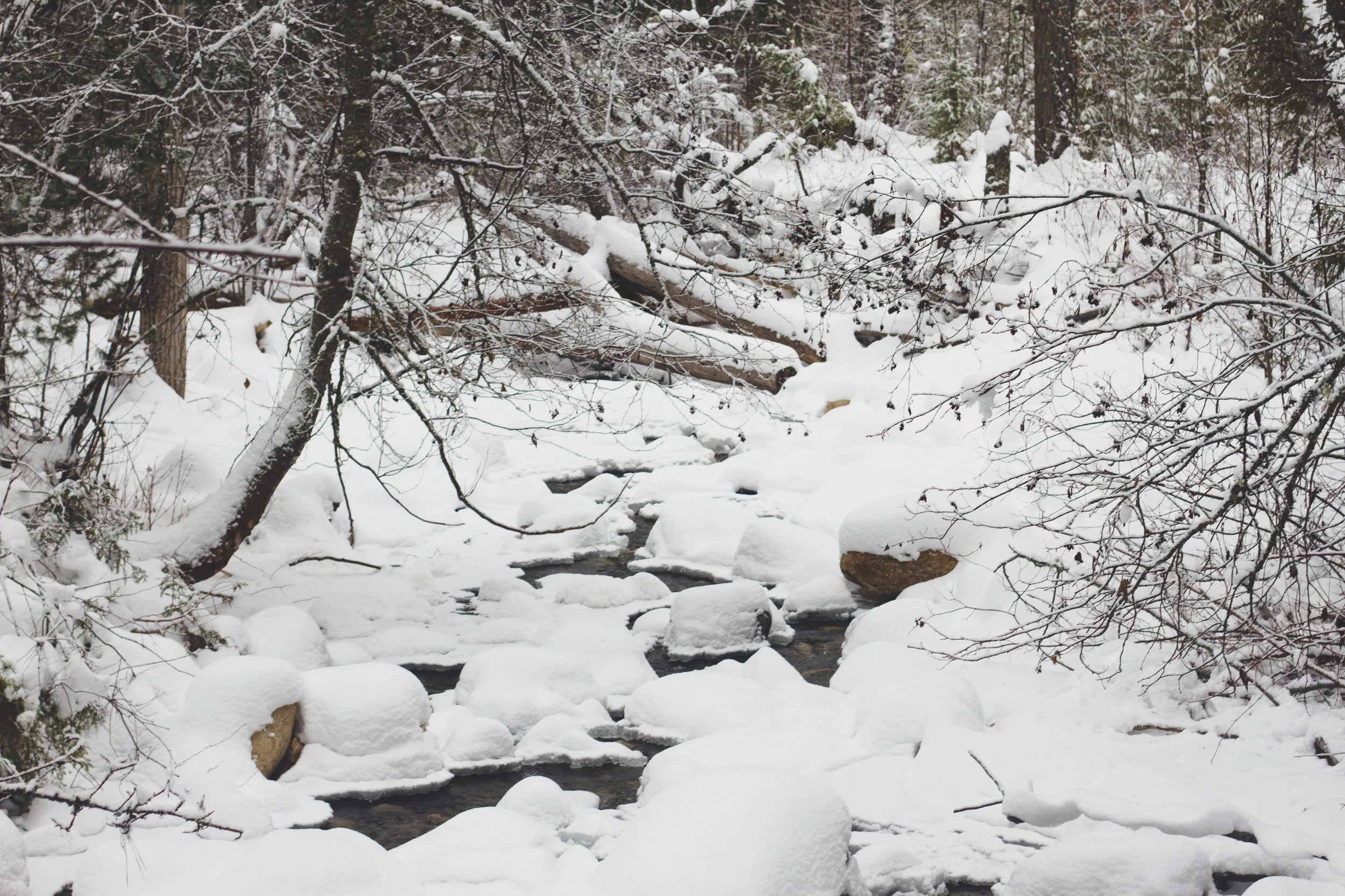 lake.01.03.19-14.jpg