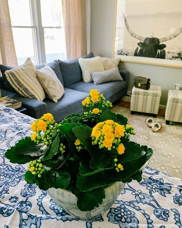 Don&rsquo;t you think a clean house makes the entry into post-vacation week feel more bearable? I&rsquo;m going with yes. 🌿🌿🌿
#sundaymorning #nosundayblues #lastdayofbreak #makeitpretty #cozy #kitchencorner