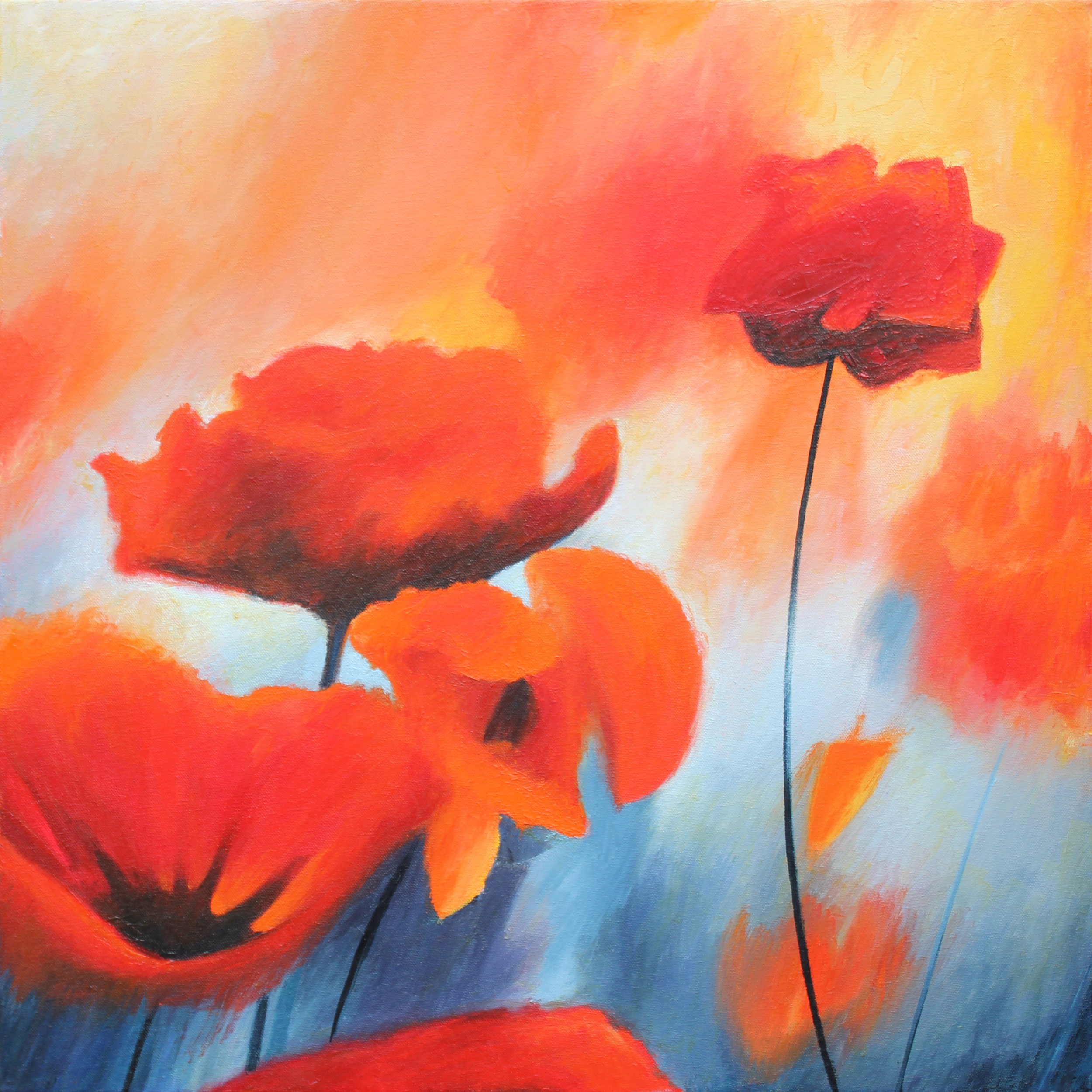 Poppies