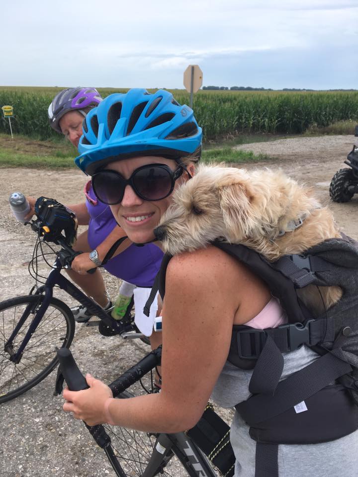  This is Zazzoo, a cute little dog who rides in a specially designed carrier on his owners back. This is Zazzoo's second Ragbrai. 