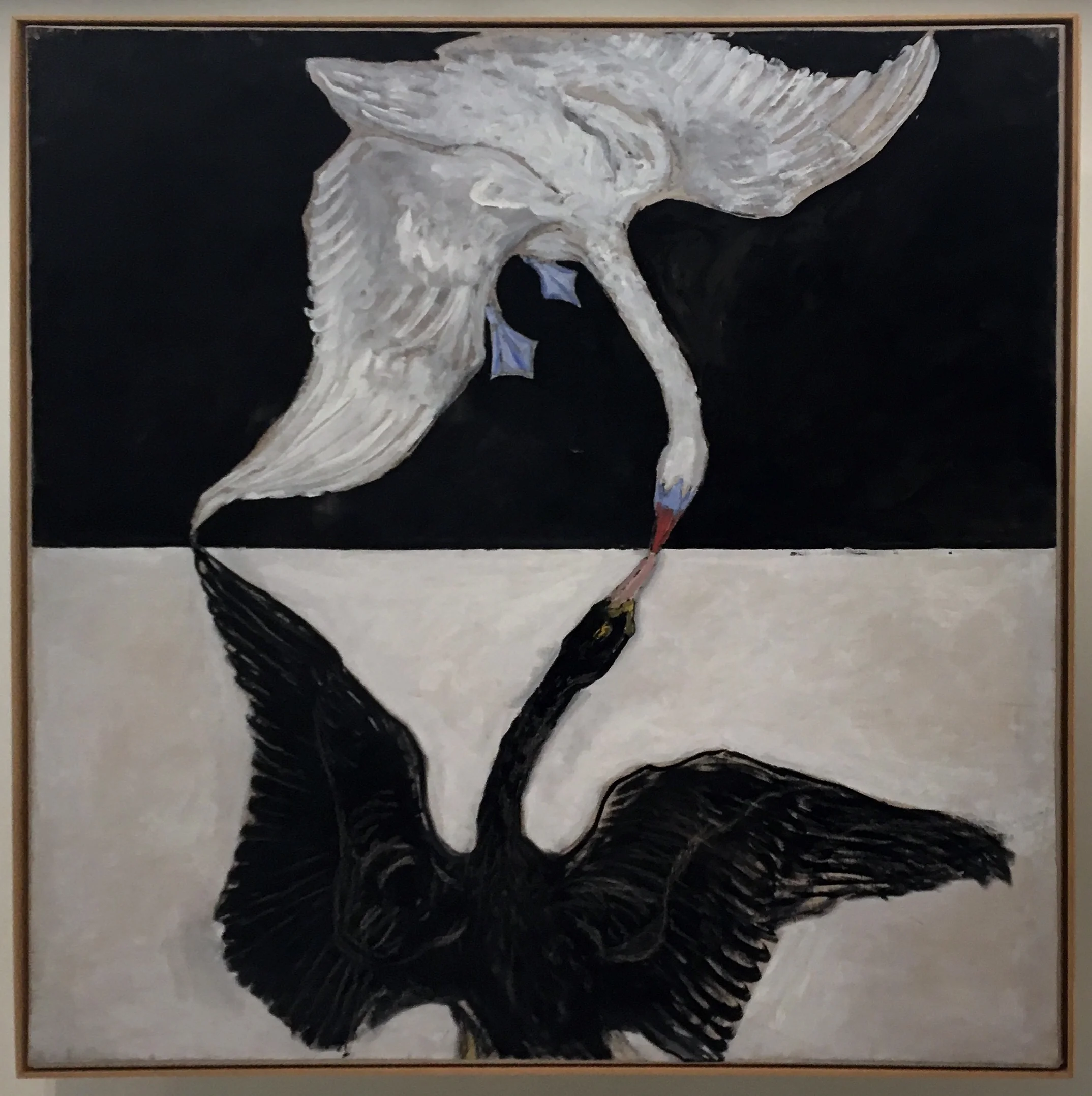 IMG_0358_Two Swans.jpg