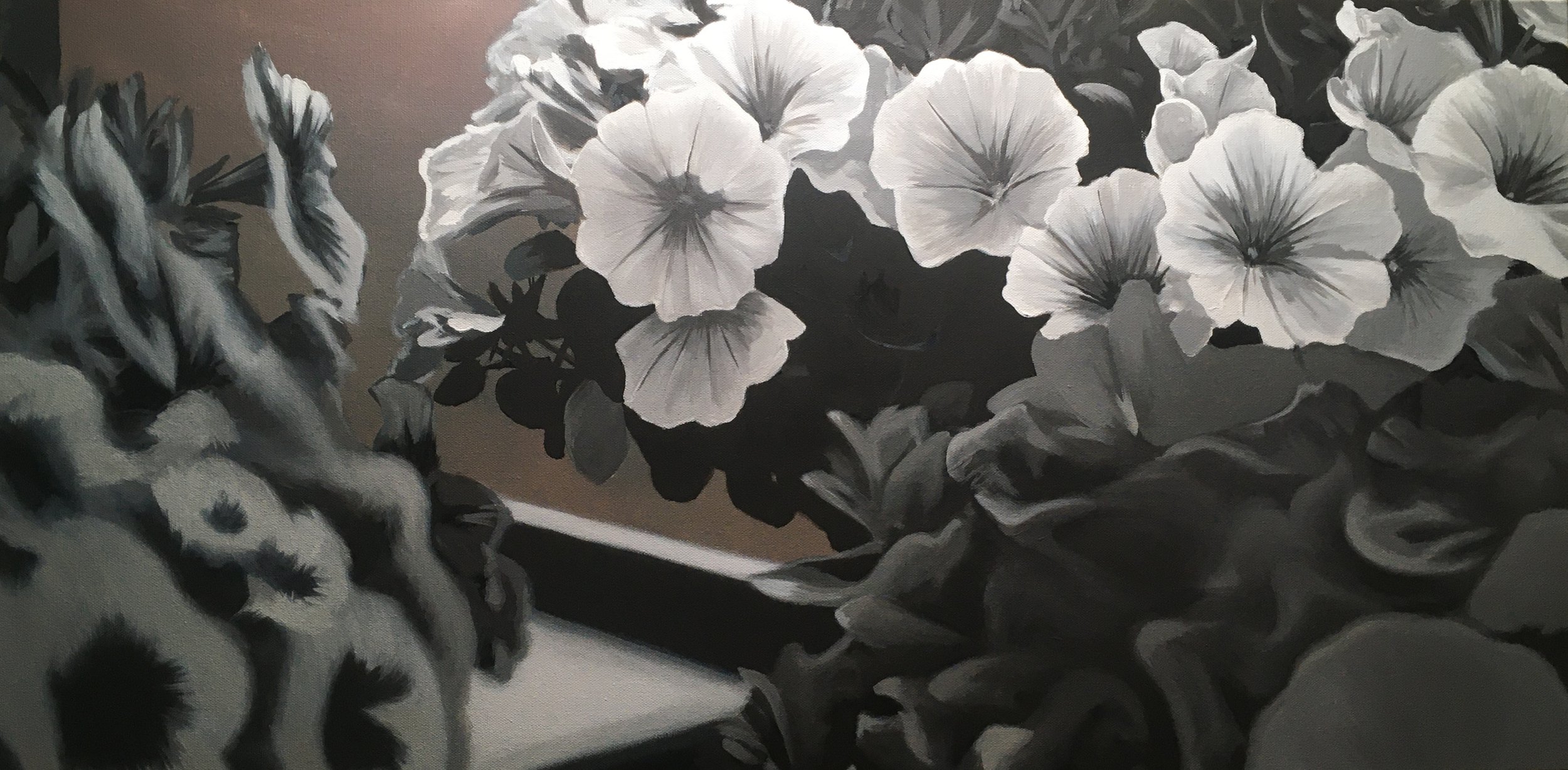 IMG_6027_CASCADIAS™ Petunia Painting_6-20-22.jpg