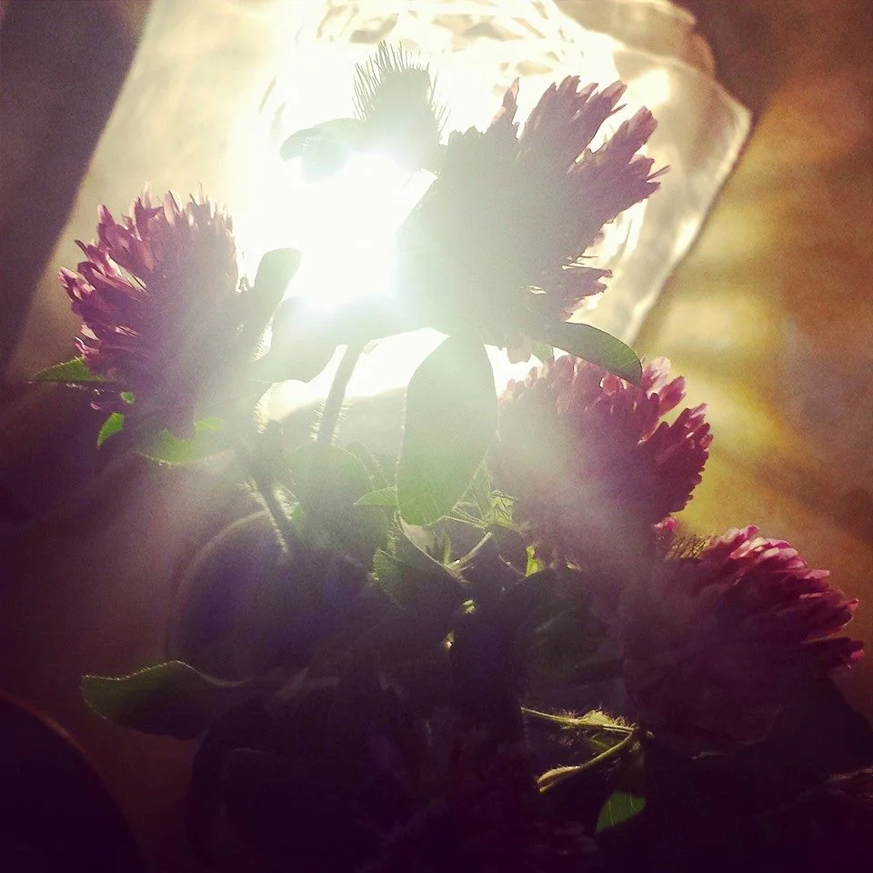 Six Months Private Coaching