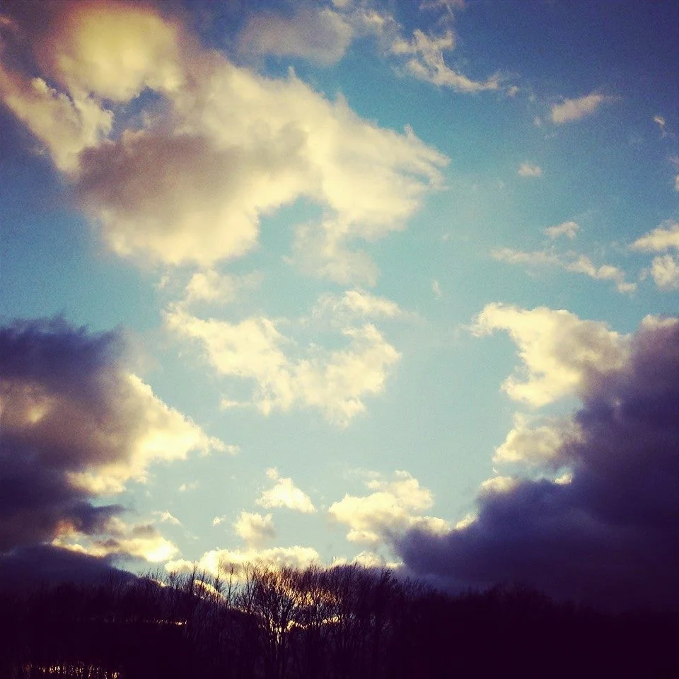 7 Day Wellness Jumpstart, with one private coaching call