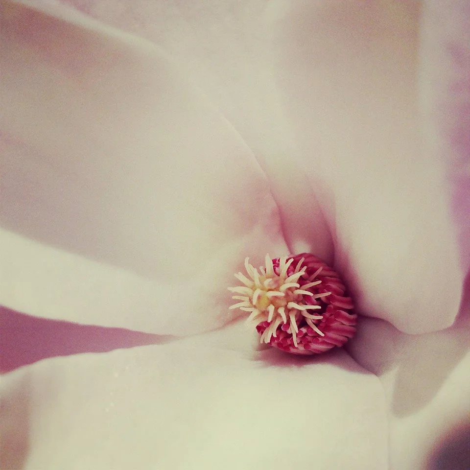 30 Day Wellness Transformation