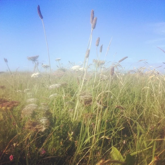 30 day Wellness Transformation