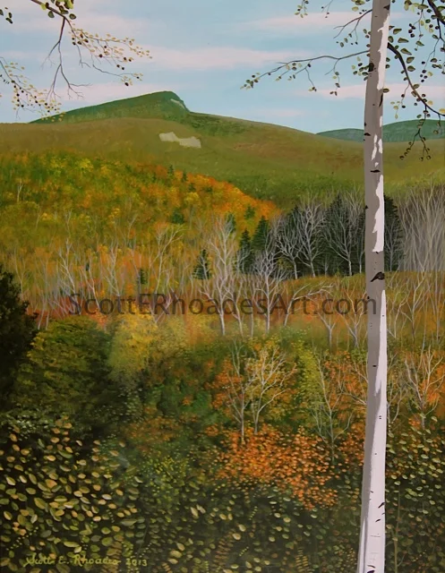 Birch Tree