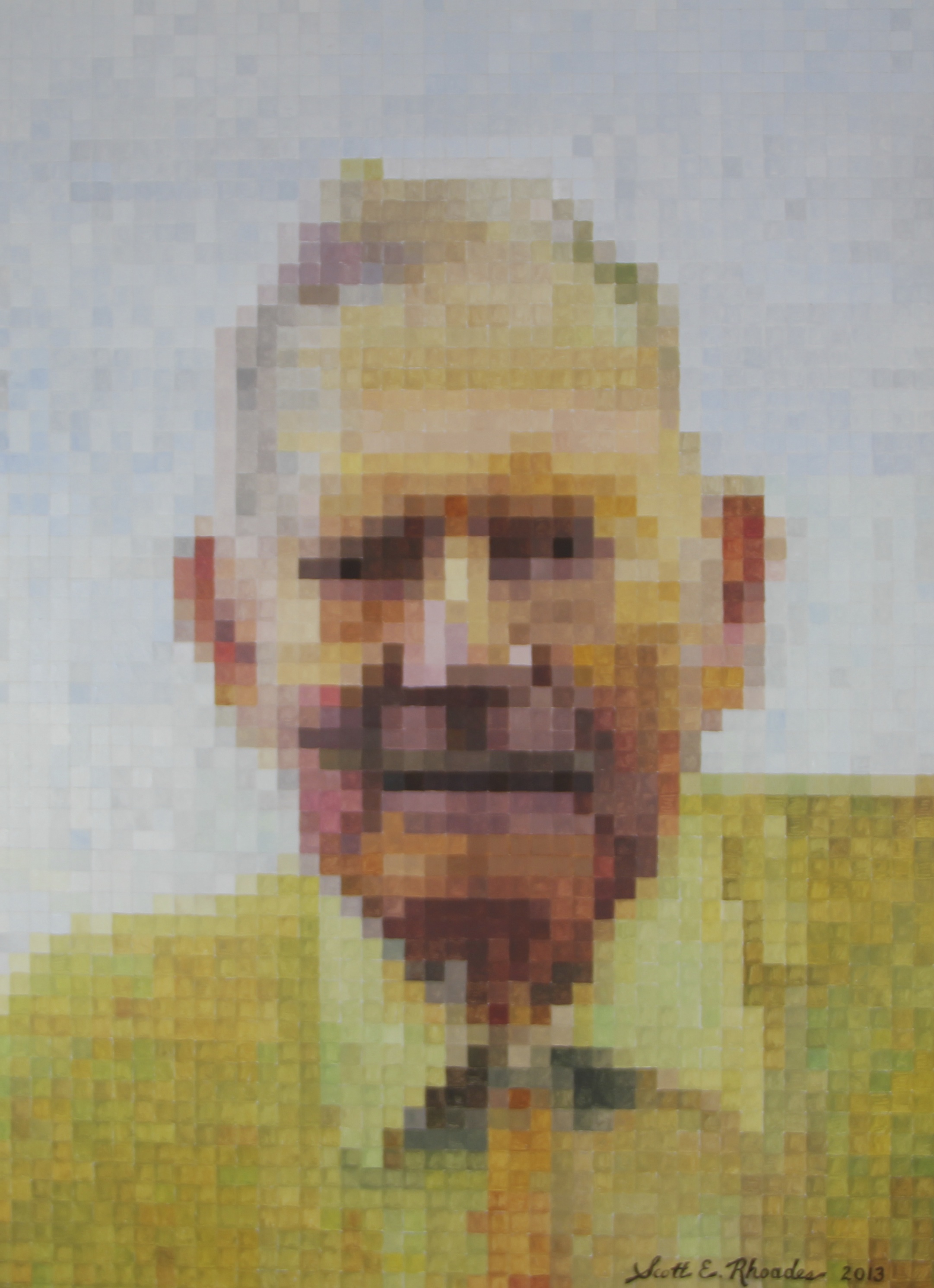 Norman  18" x 24"   GIFT