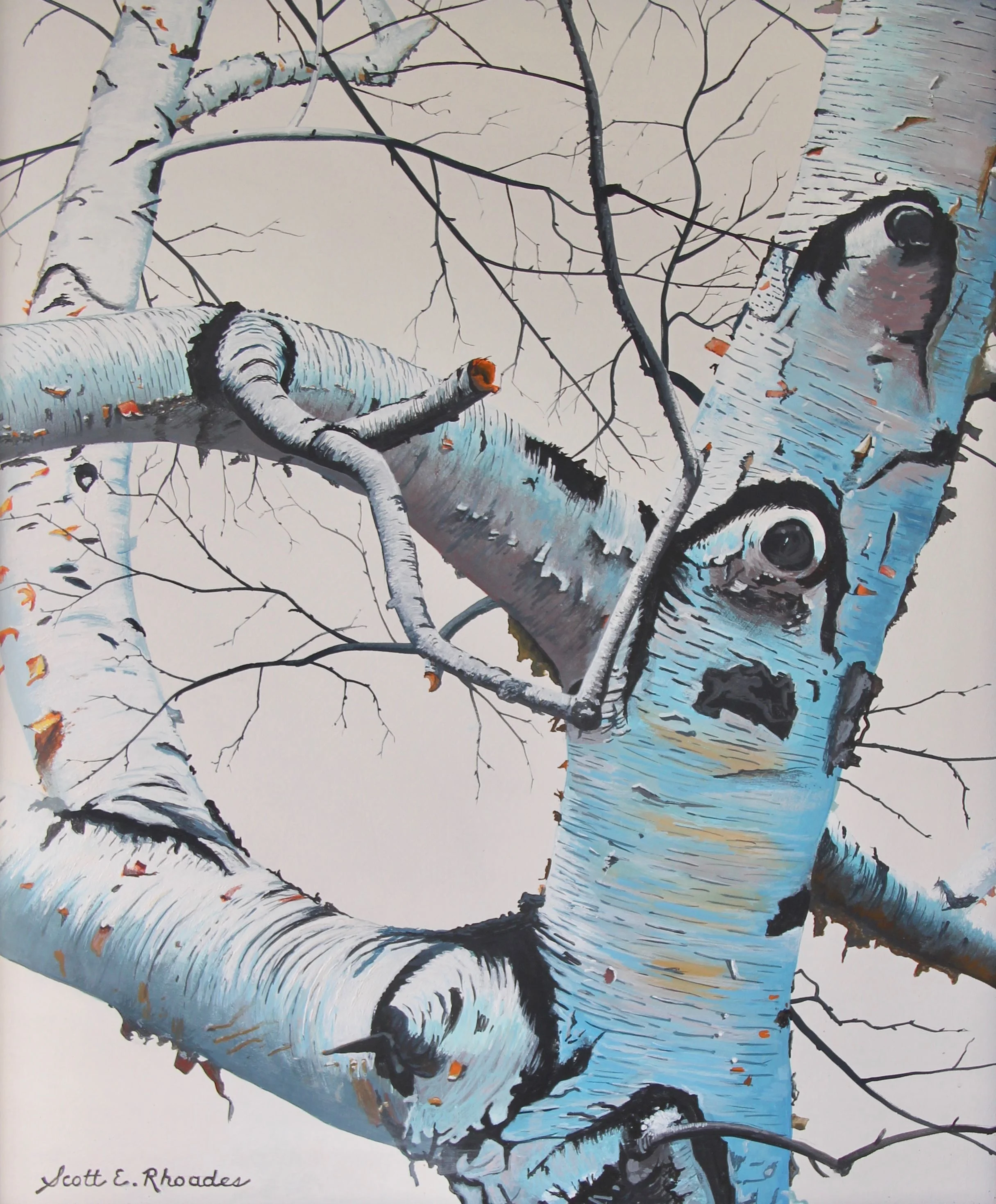 Birch 10" x 13" $1100.