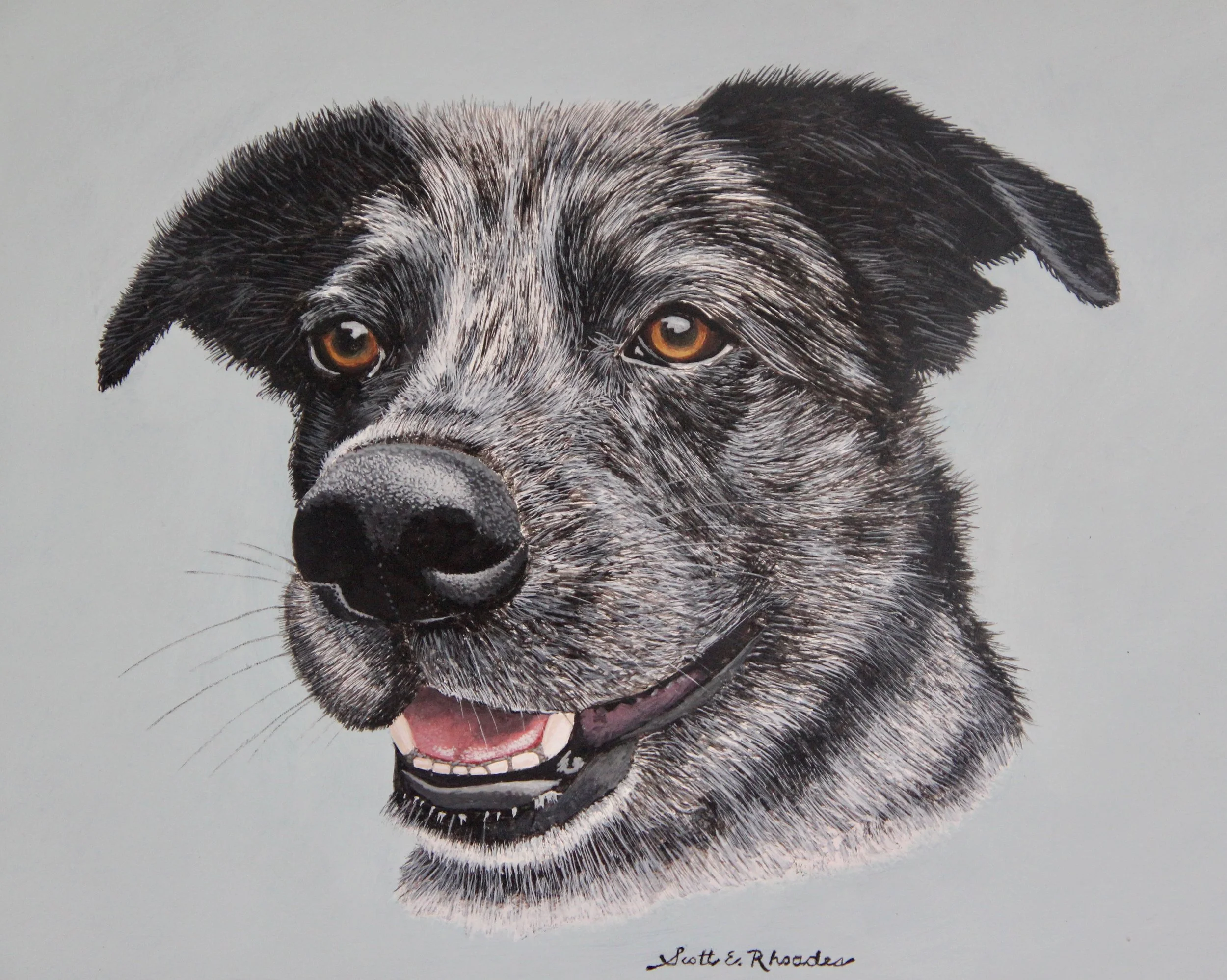 Roxy 11" x 14" Commissioned