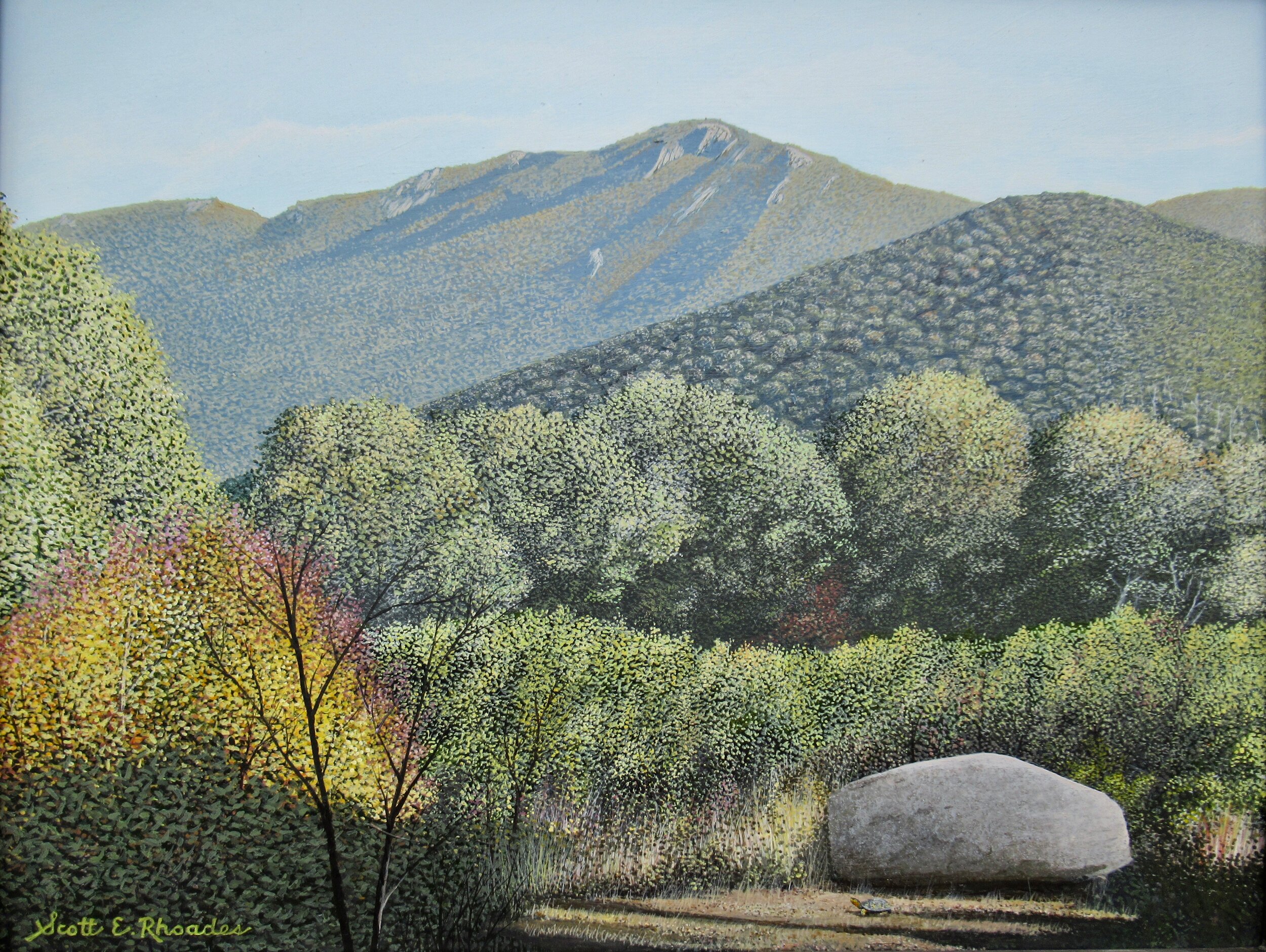 Shenandoah Solitude 11" x 14"    $900.