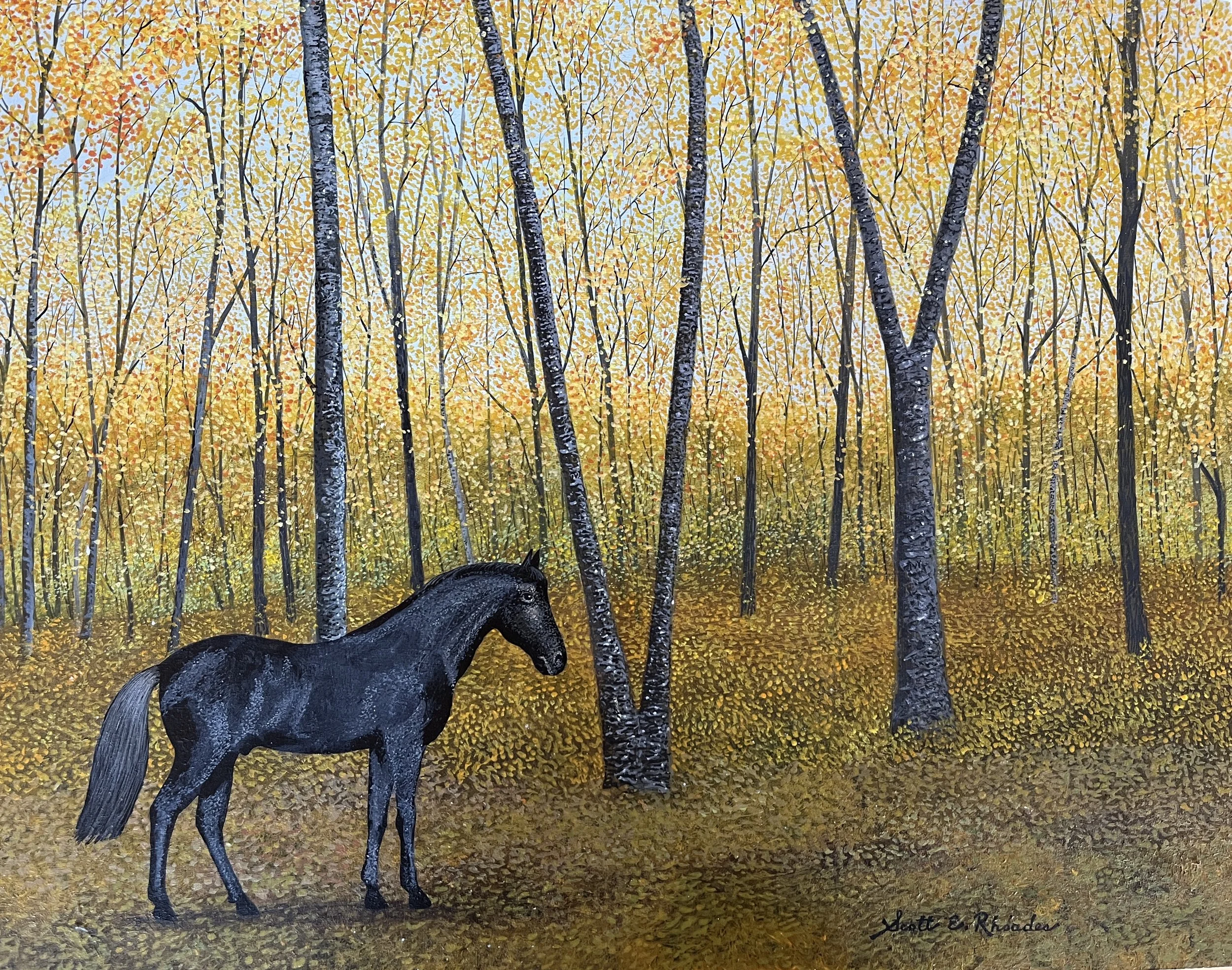 Looking for Ivy, 11" x 14",  $800.