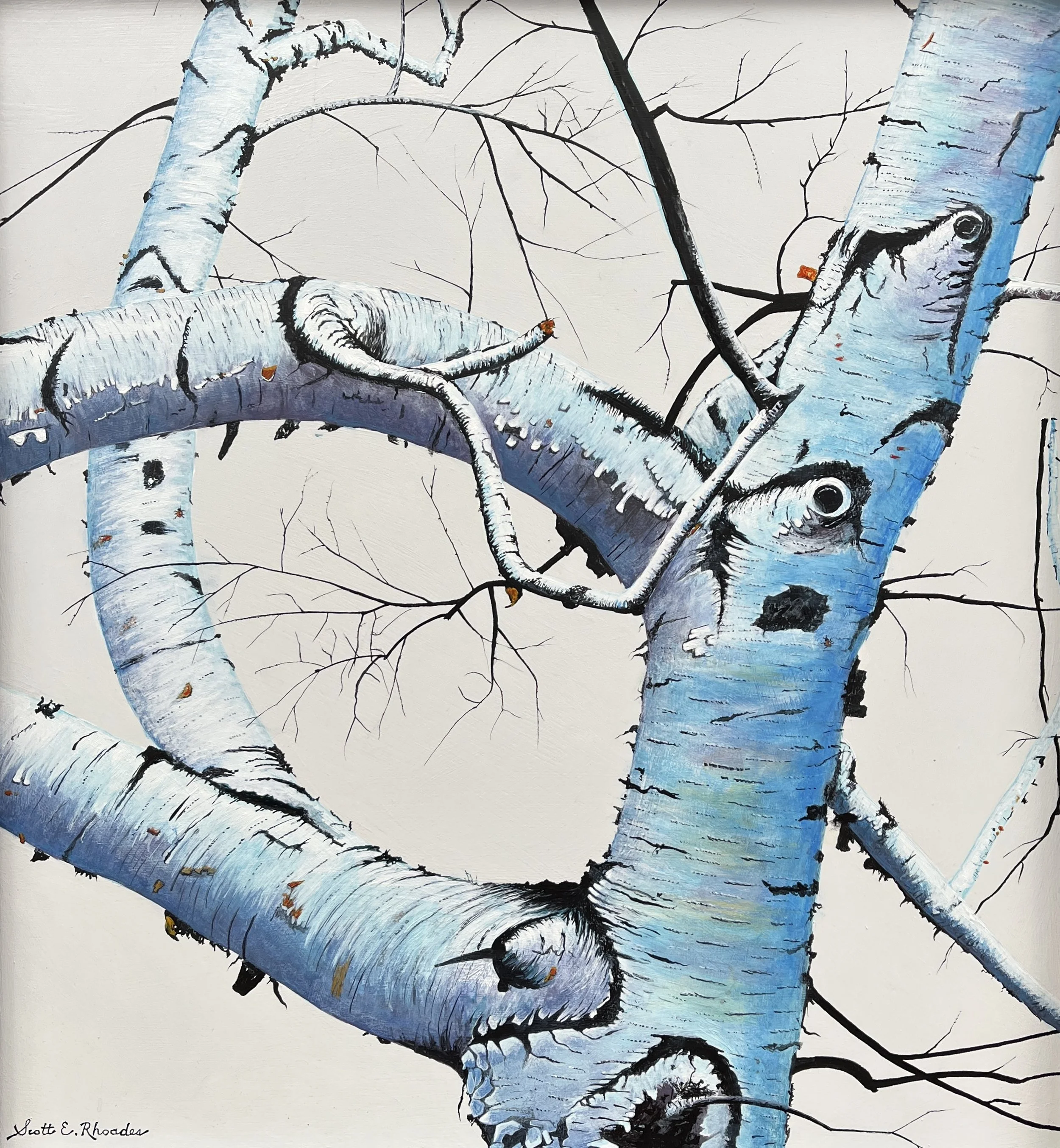 Birch Tree III, 17" x 18", $1500.