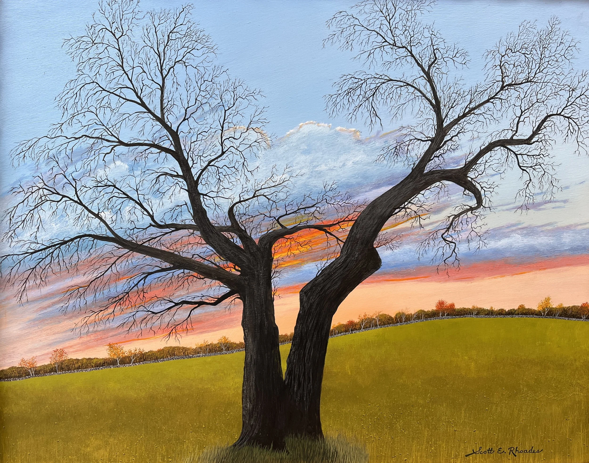 Historic Mulberry Tree of Browns Road, 11" x 14", $900.