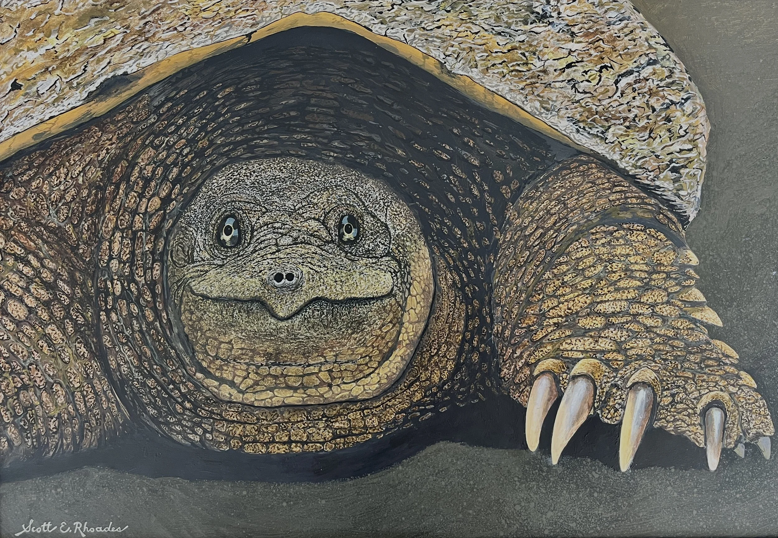 Snapper, 12" x 18", $1000.