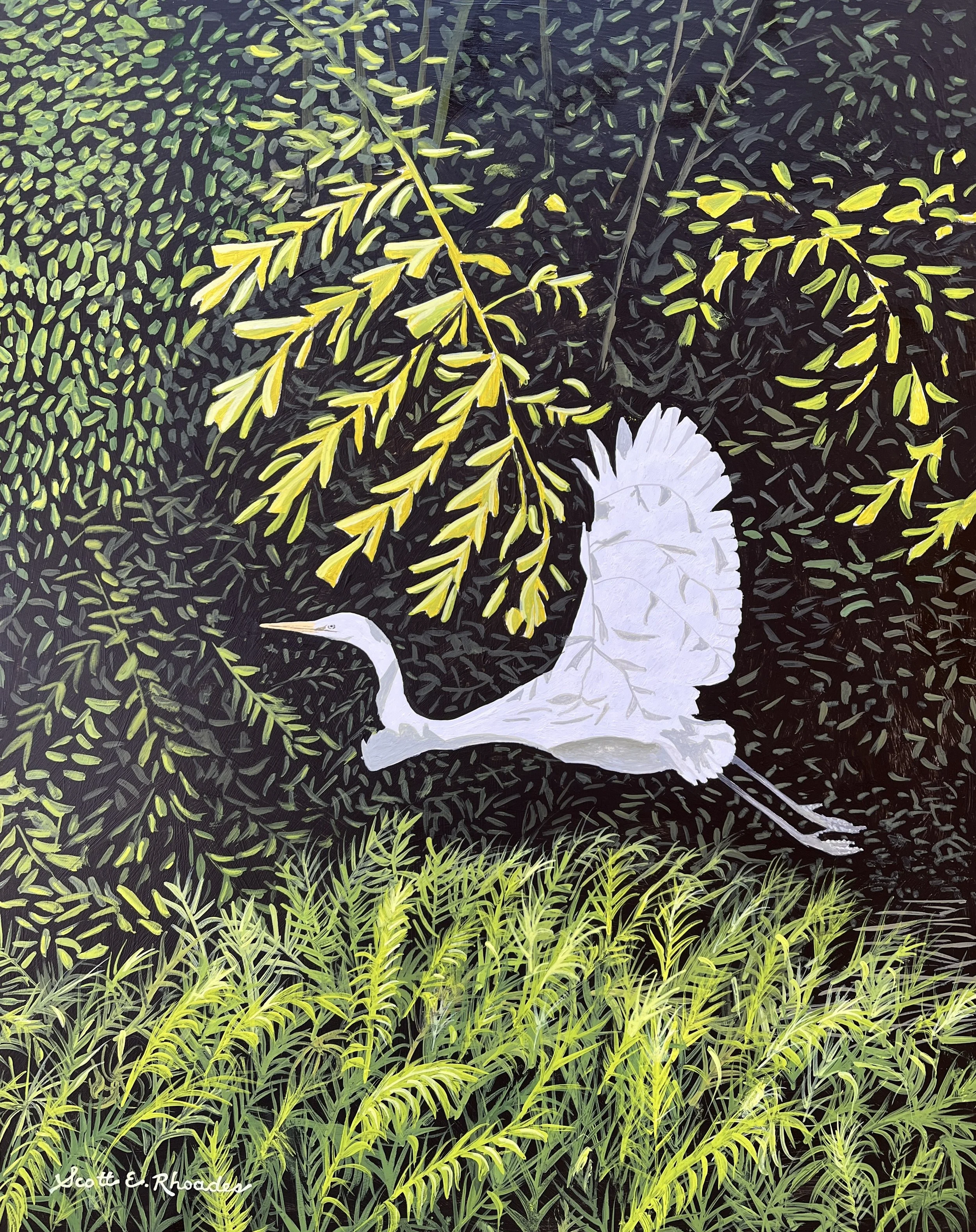 Great Egret of Jamaica, 11in x 14in, $600.