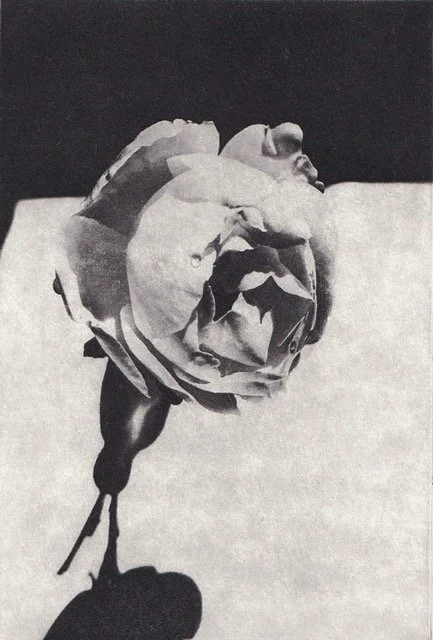 Graphic Arts Workshop of San Francisco Group Show = July 2025