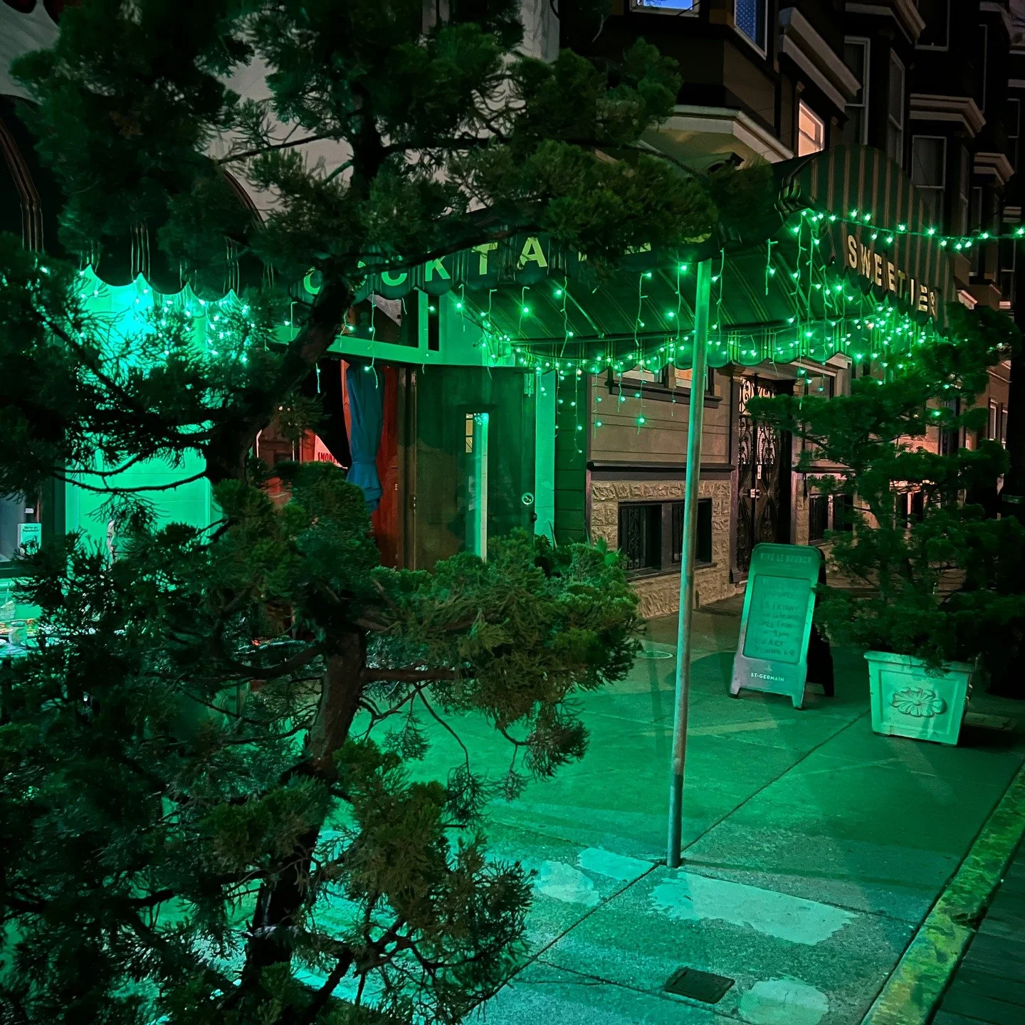 We'd love to see this year and next...Our doors are open New Year's Eve and New Year's Day. And Friday, January 2 is First Friday - our first artist in 2026 is Dan Max! Stop by to enjoy his work but Dan's real opening is Friday, January 9. #sweetiesa
