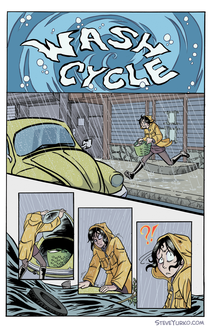 Wash Cycle (2012)