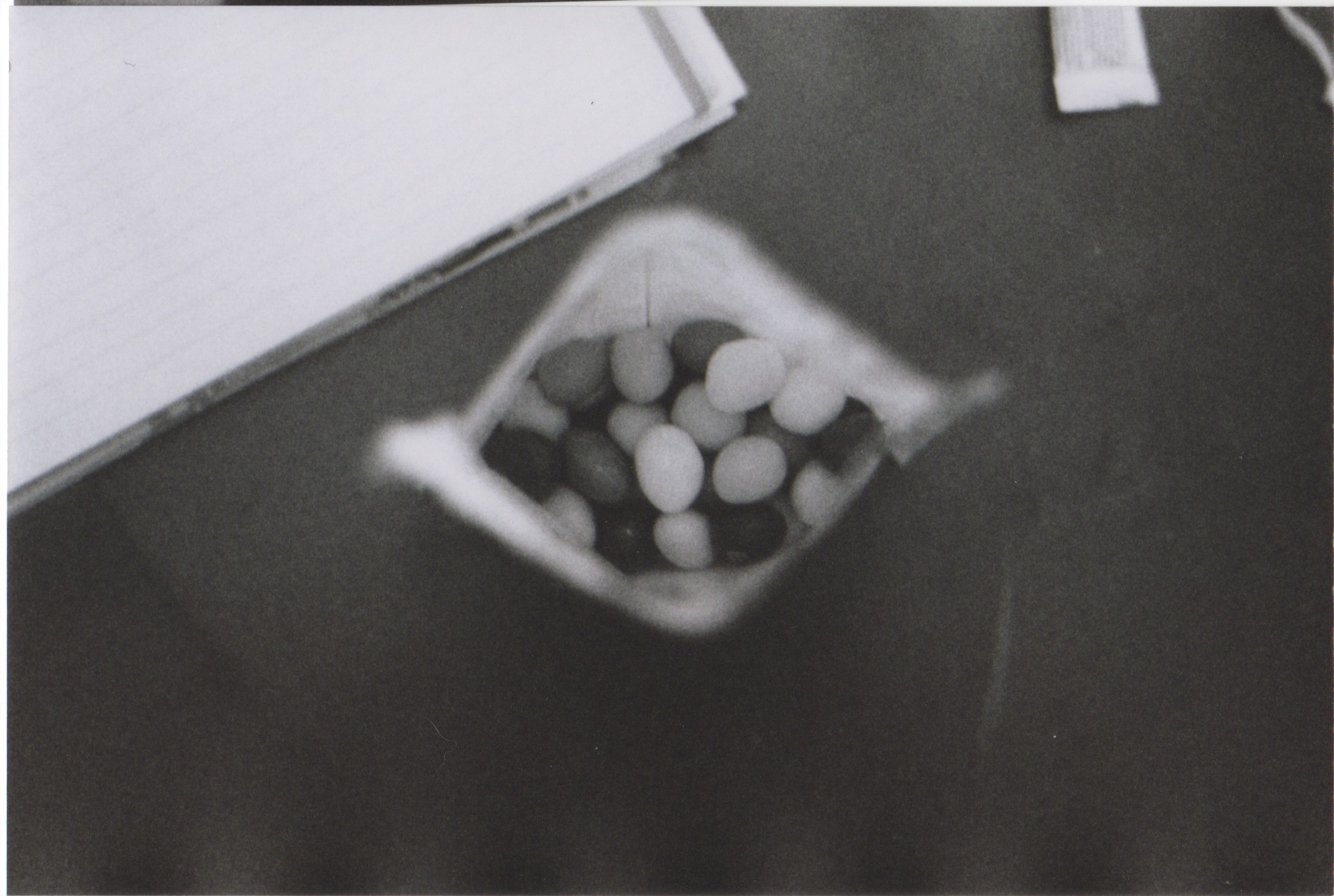 Scan 1 copy.jpeg