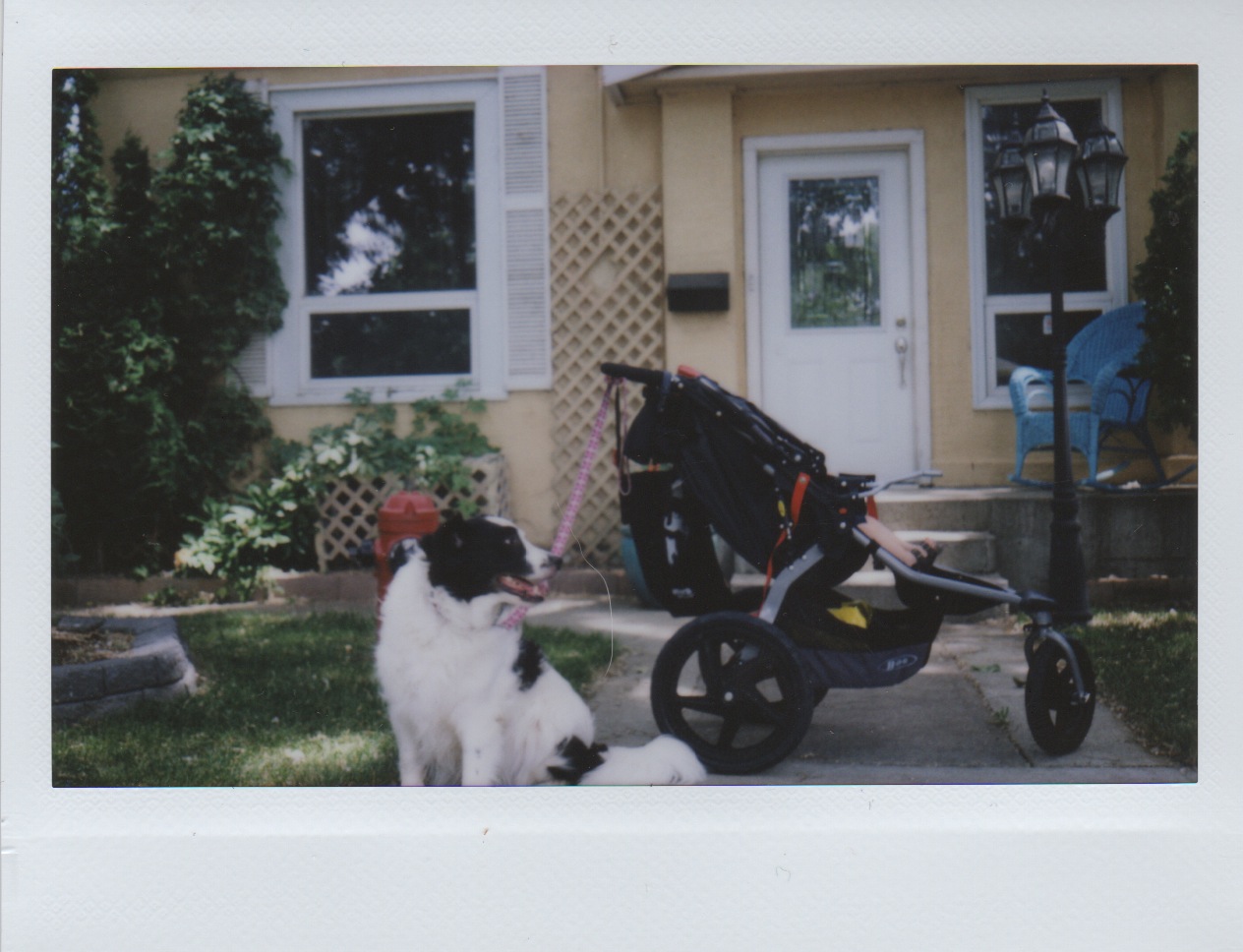 Scan 19.jpeg