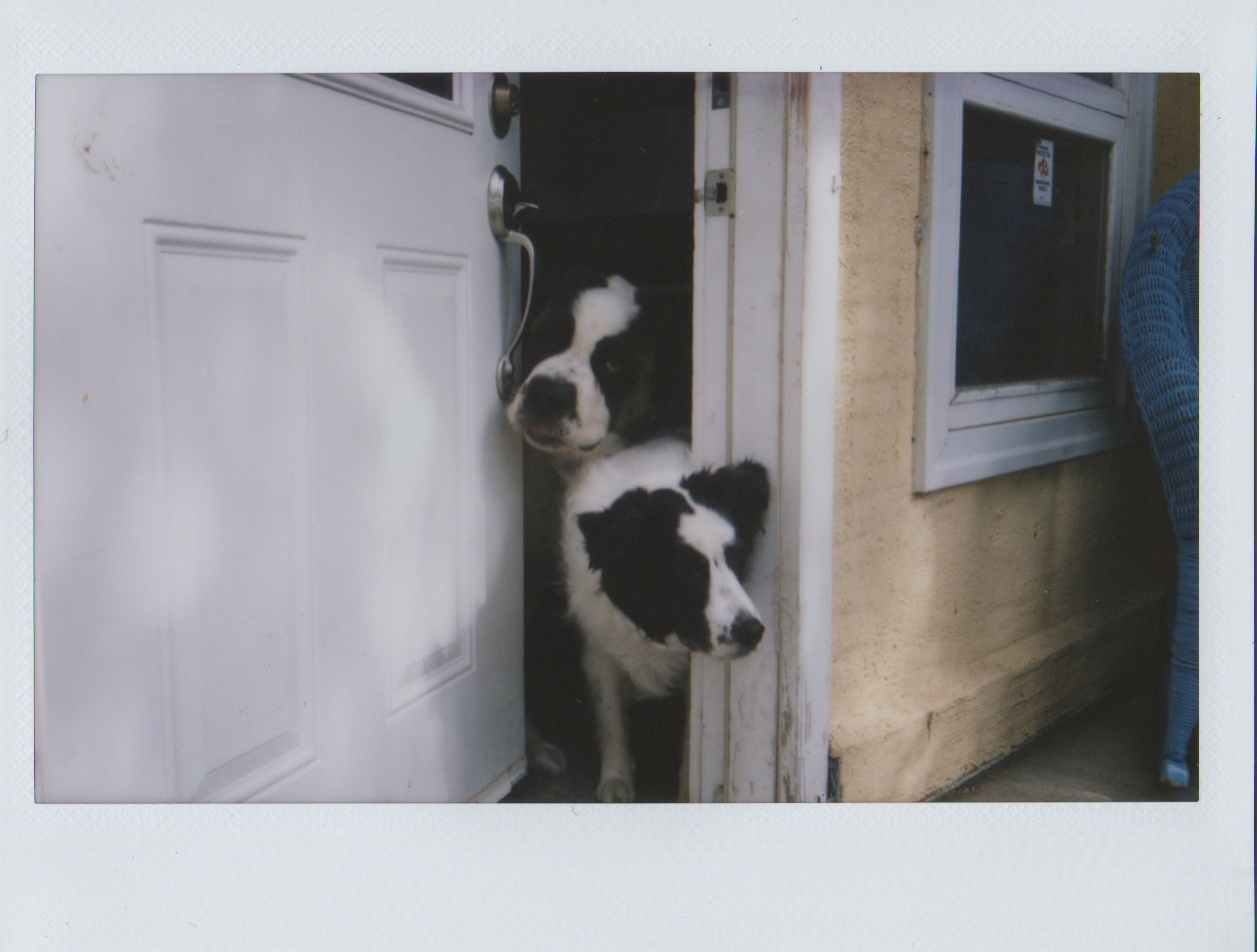 Scan 21.jpeg