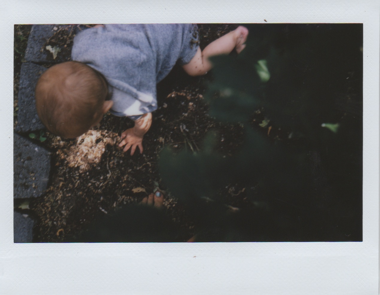 Scan 22.jpeg