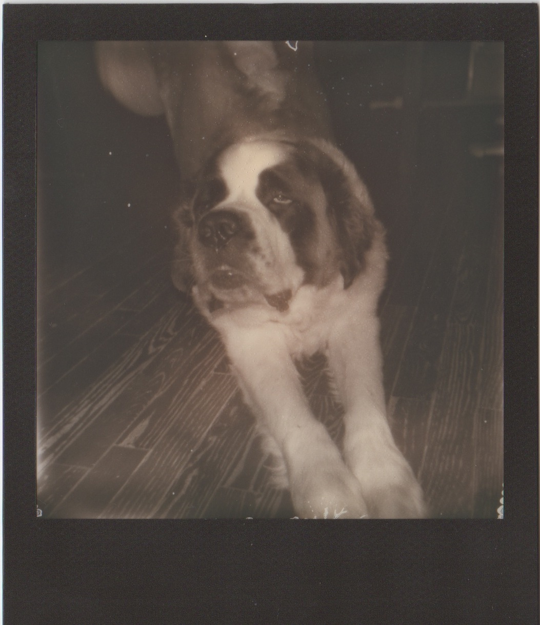Scan 26.jpeg