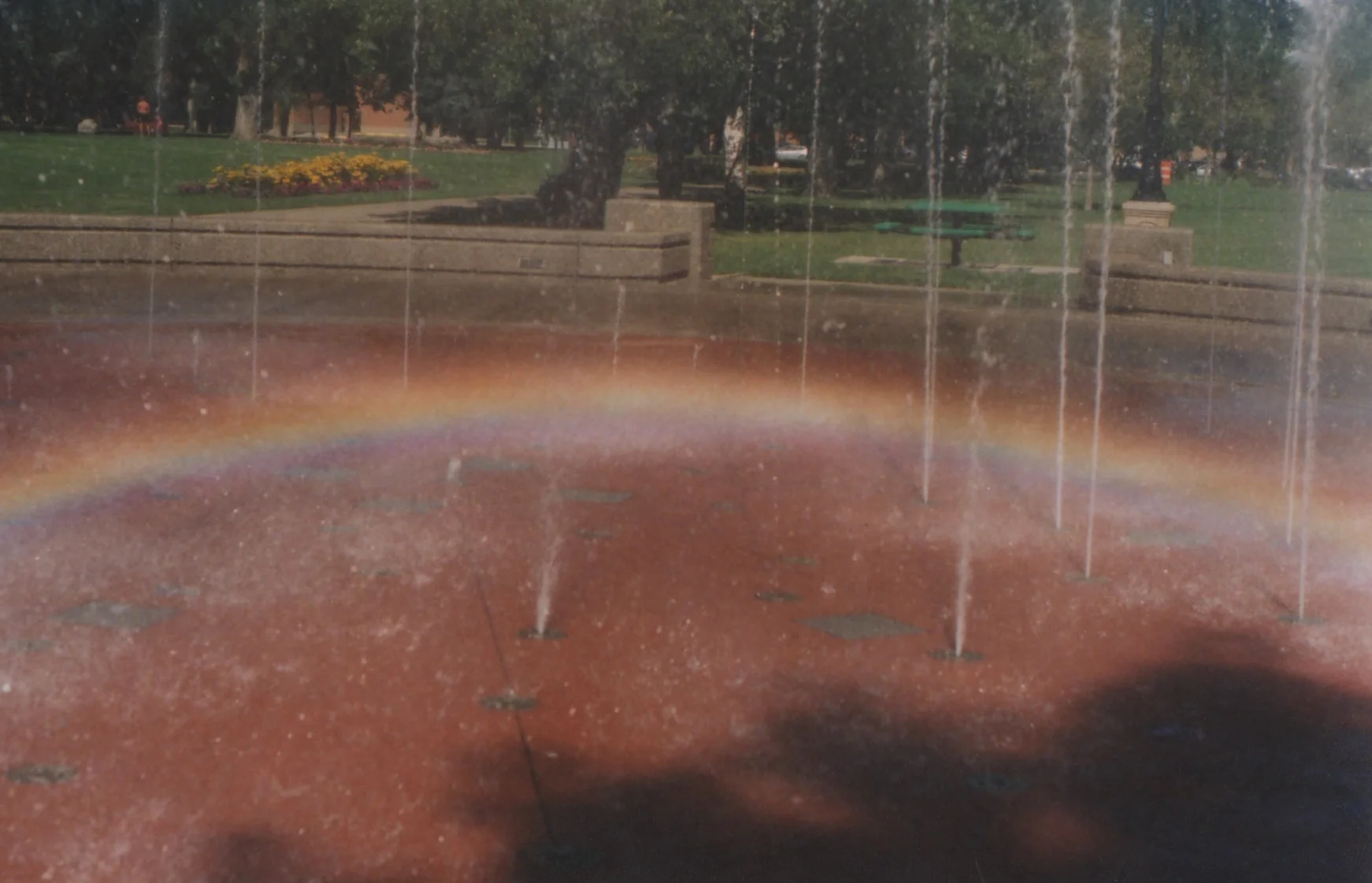 Scan 76.jpeg