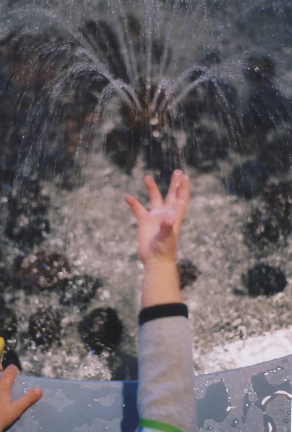 Scan 96.jpeg