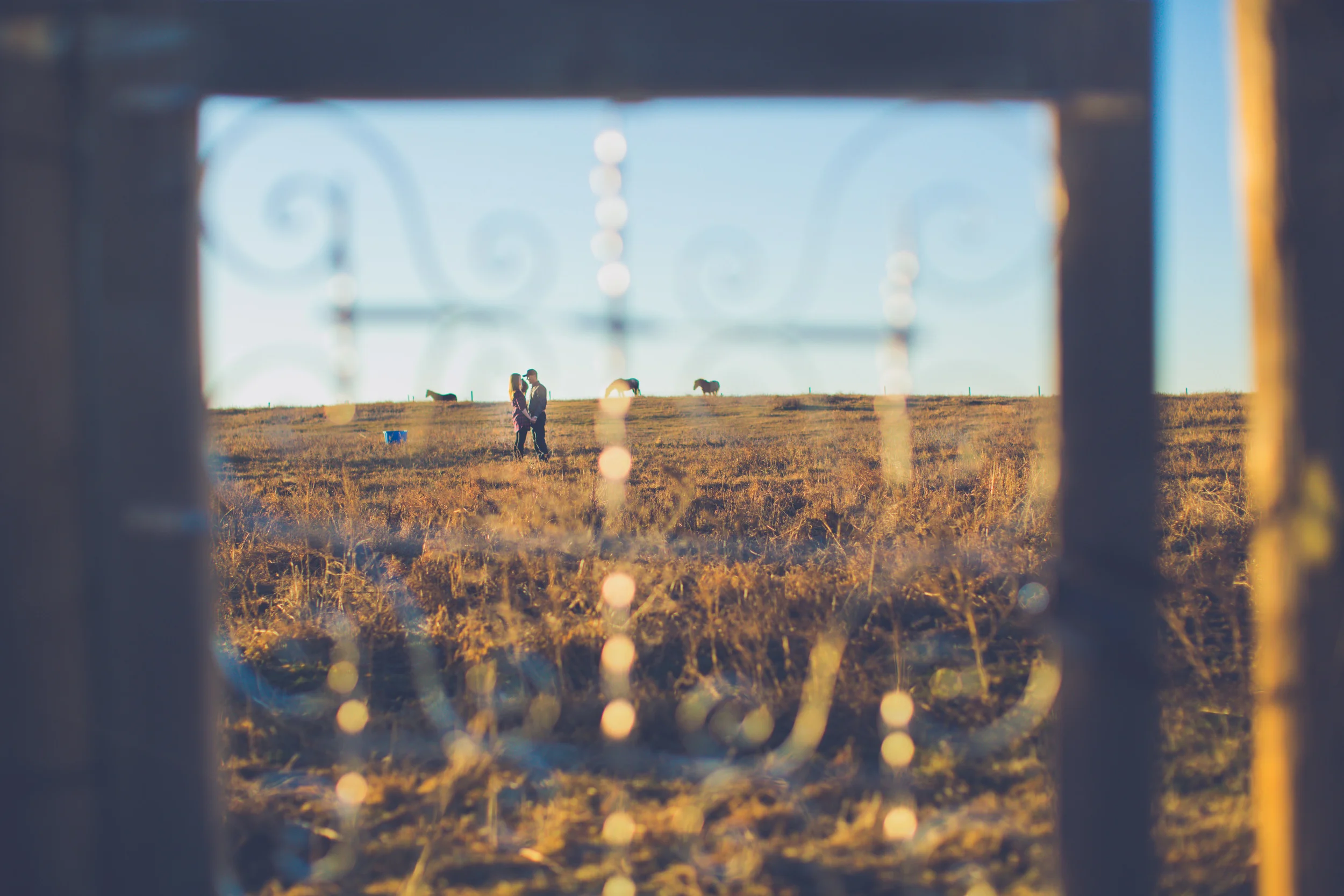 Tarasoff_Engagement-16.jpg