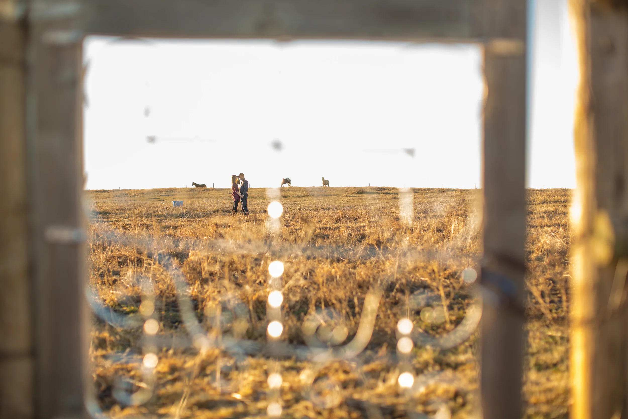 Tarasoff_Engagement-146.jpg