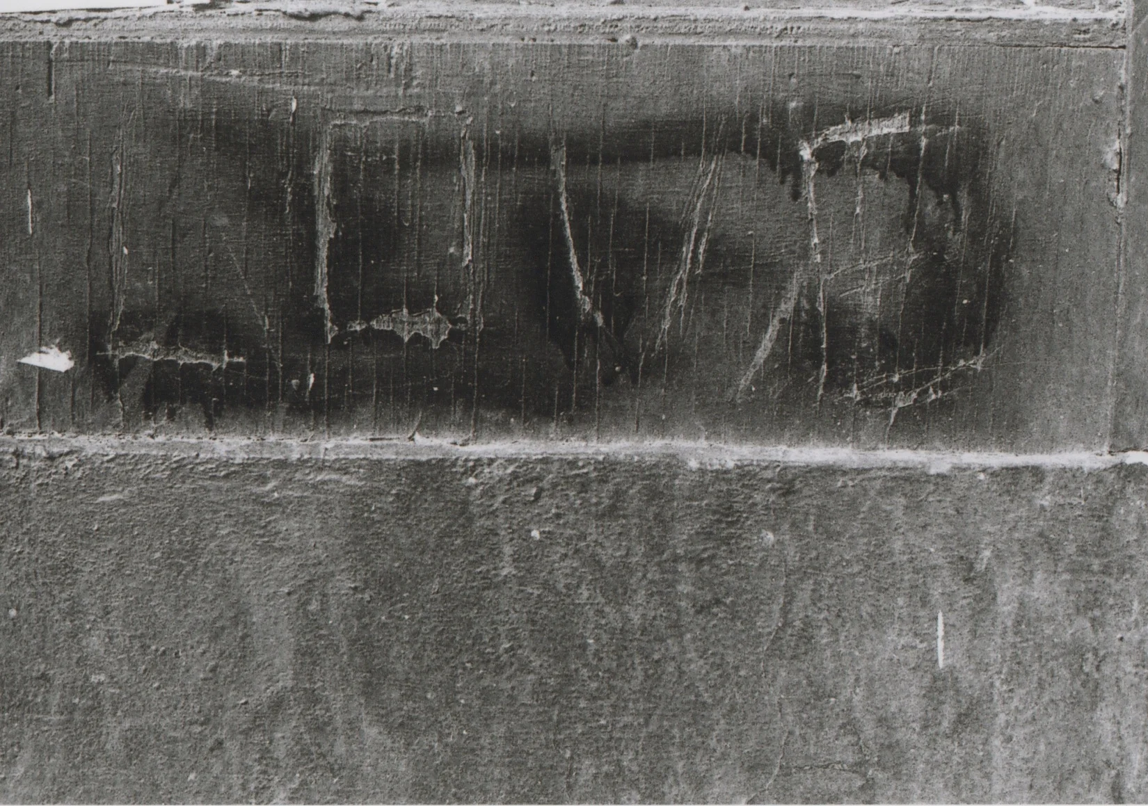 scan 231.jpeg