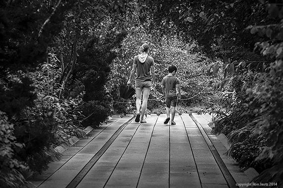 The High Line Park on New York's west side is a lovely place for a stroll, but on a rainy morning as this, few people are there. I saw the potential of this scene but it needed the right focal element--people. I stood in the rain for at least 10 minutes before I saw this mother and son walk toward me. I let them pass then took out my camera and framed the shot. The woman's umbrella didn't look right but at the last minute she folded it under the canopy of trees; I snapped off four quick frames and caught one where they were in synchronized step.