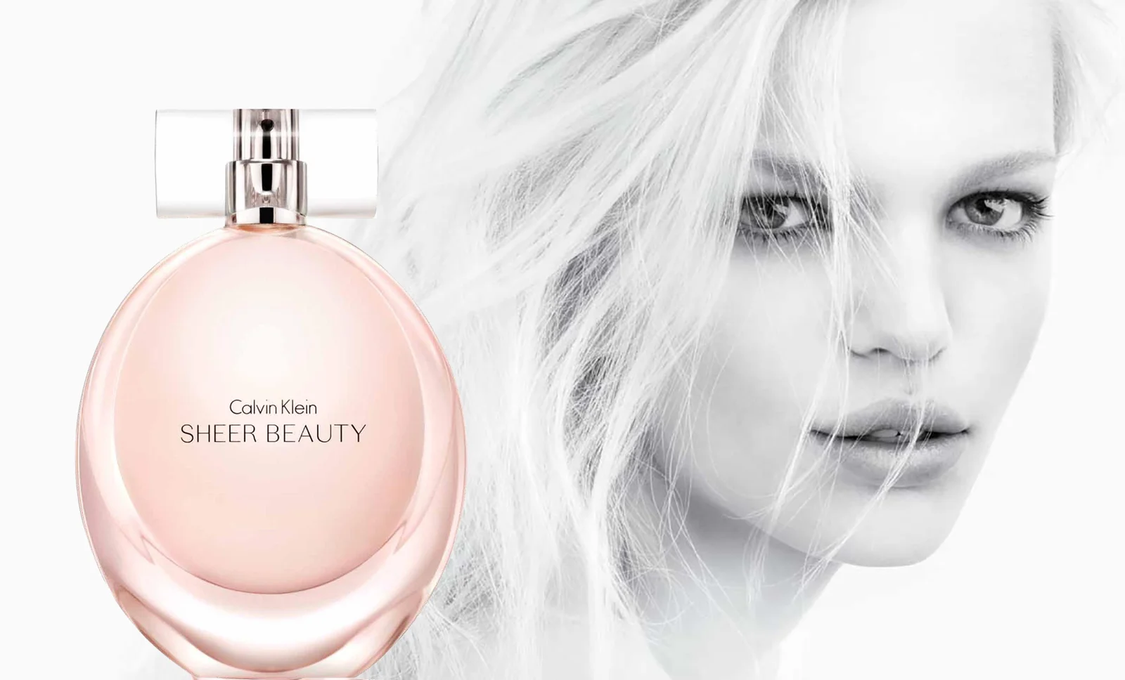 sheer beauty model AD 11x17-s.jpg