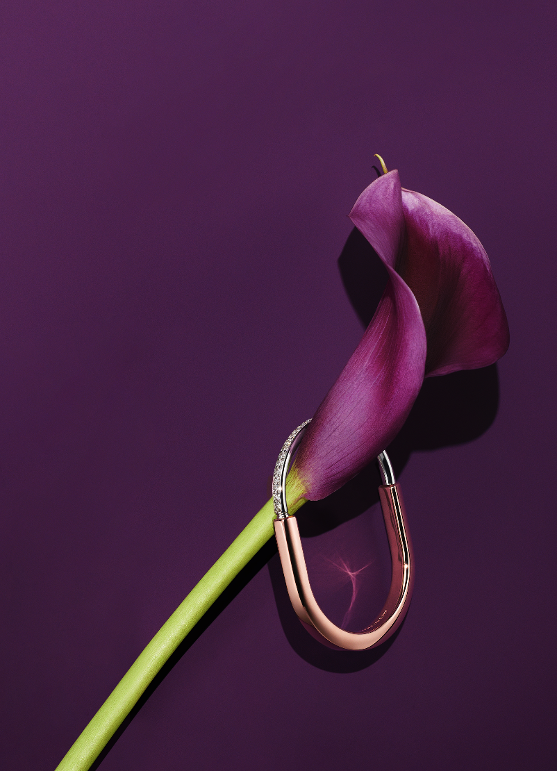 Screenshot 2026-04-14 at 10.35.25 AM.png