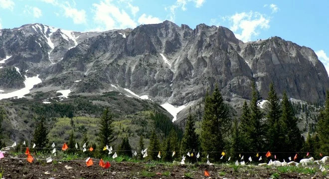 Research site below Gothic Mountain. Photo by Laurel Runci