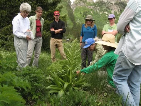 Summer Science Tour – photo from RMBL Archives