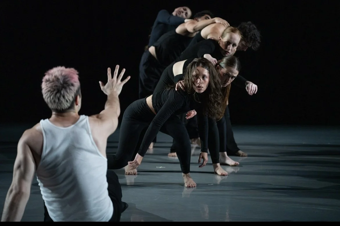 'Dissonance' NYC Premiere 