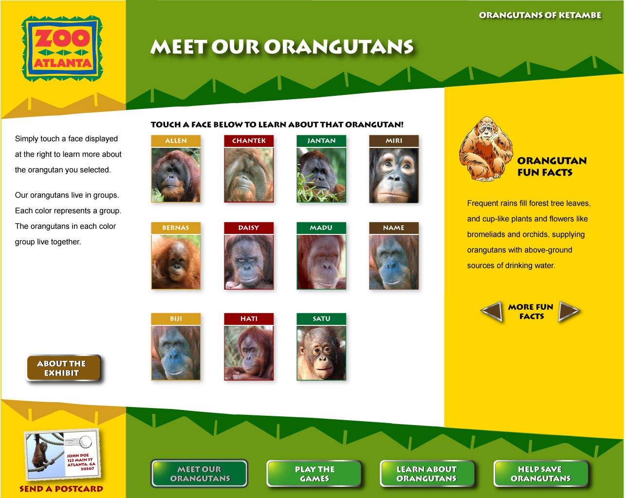  Orangutan Profiles       