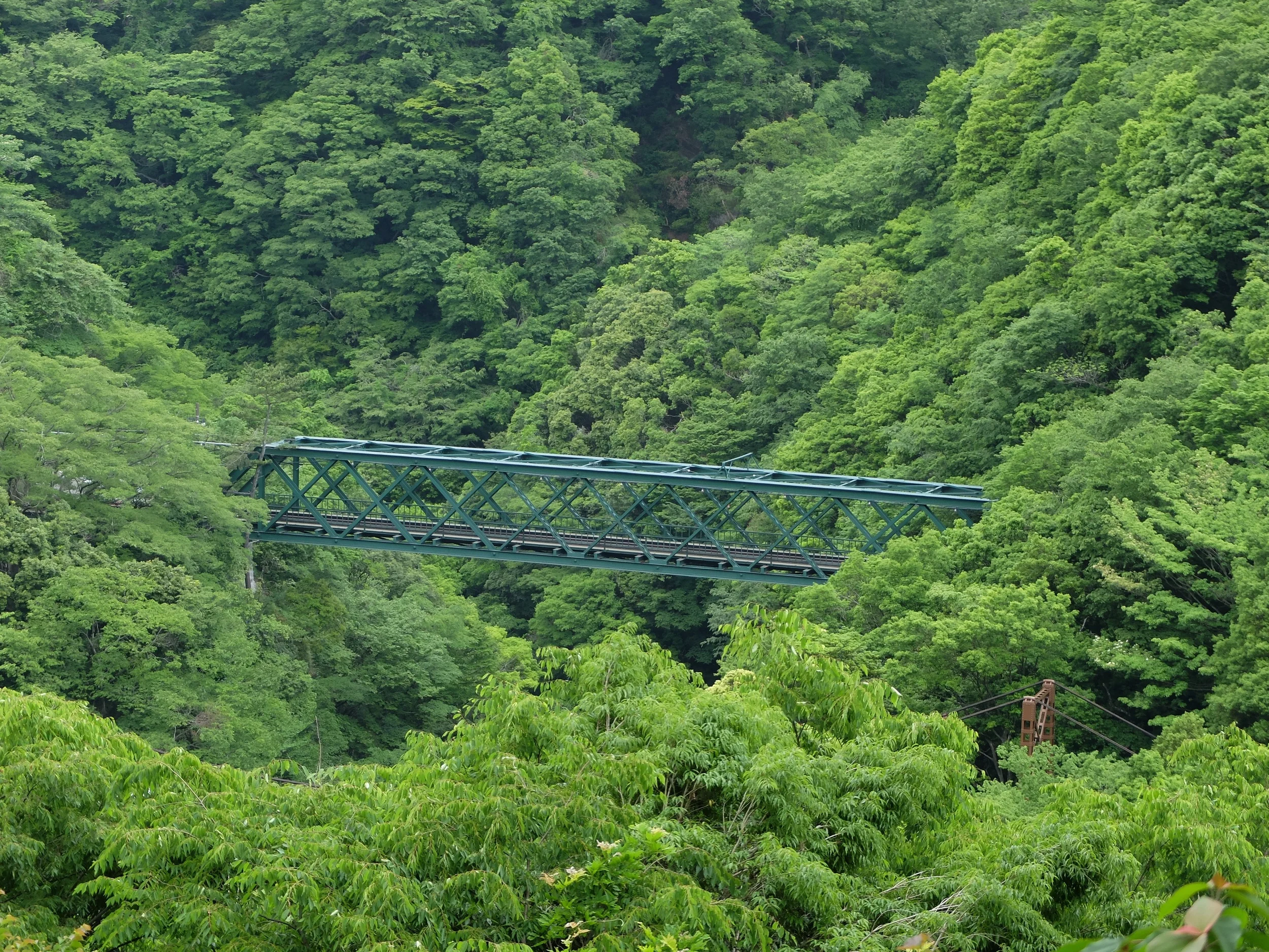 PhotoPortfolio7.jpg
