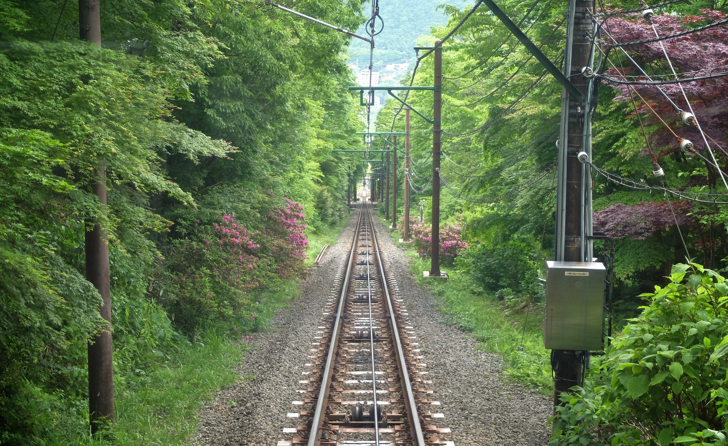 PhotoPortfolio13.jpg
