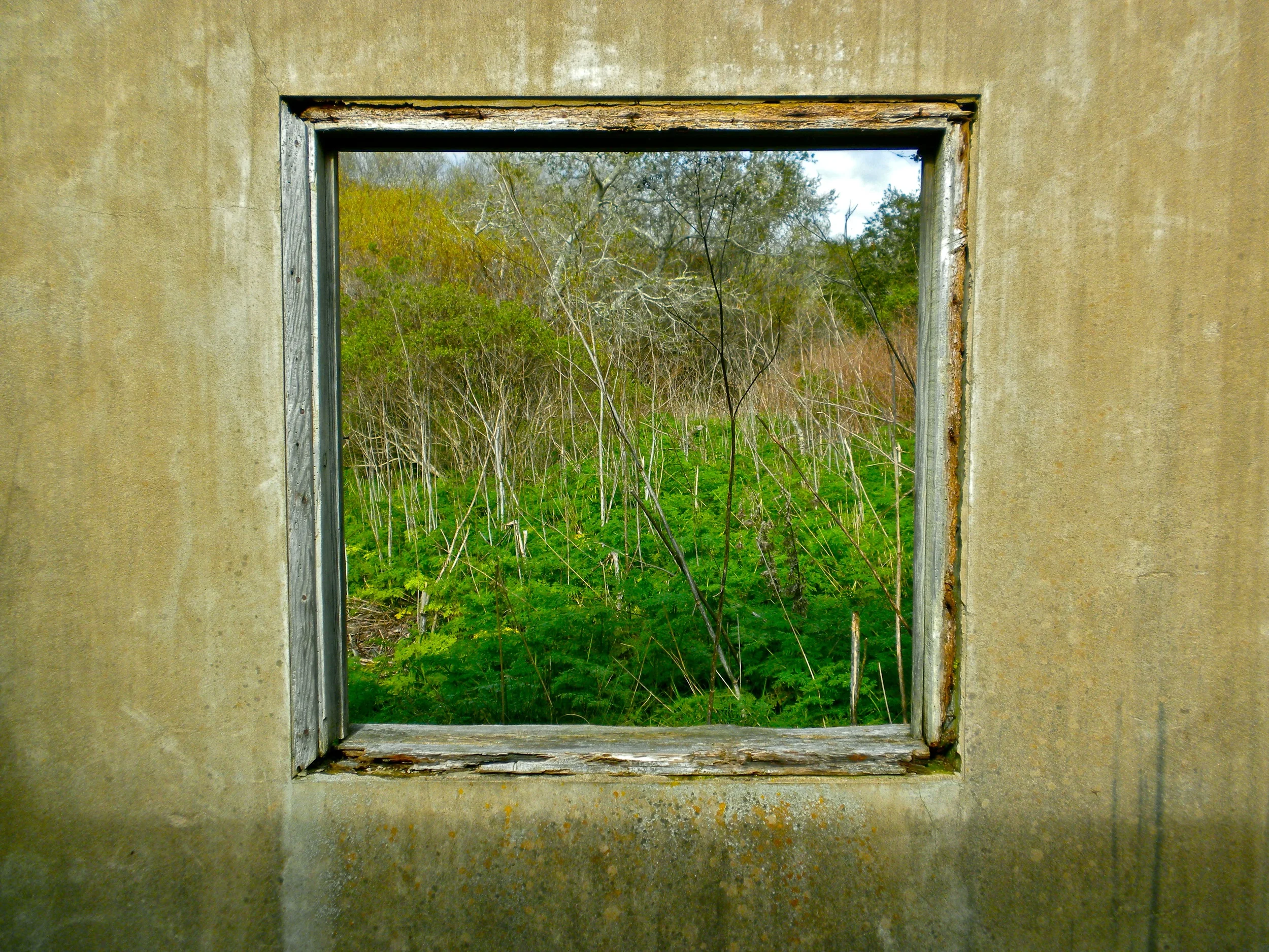 PhotoPortfolio25.jpg