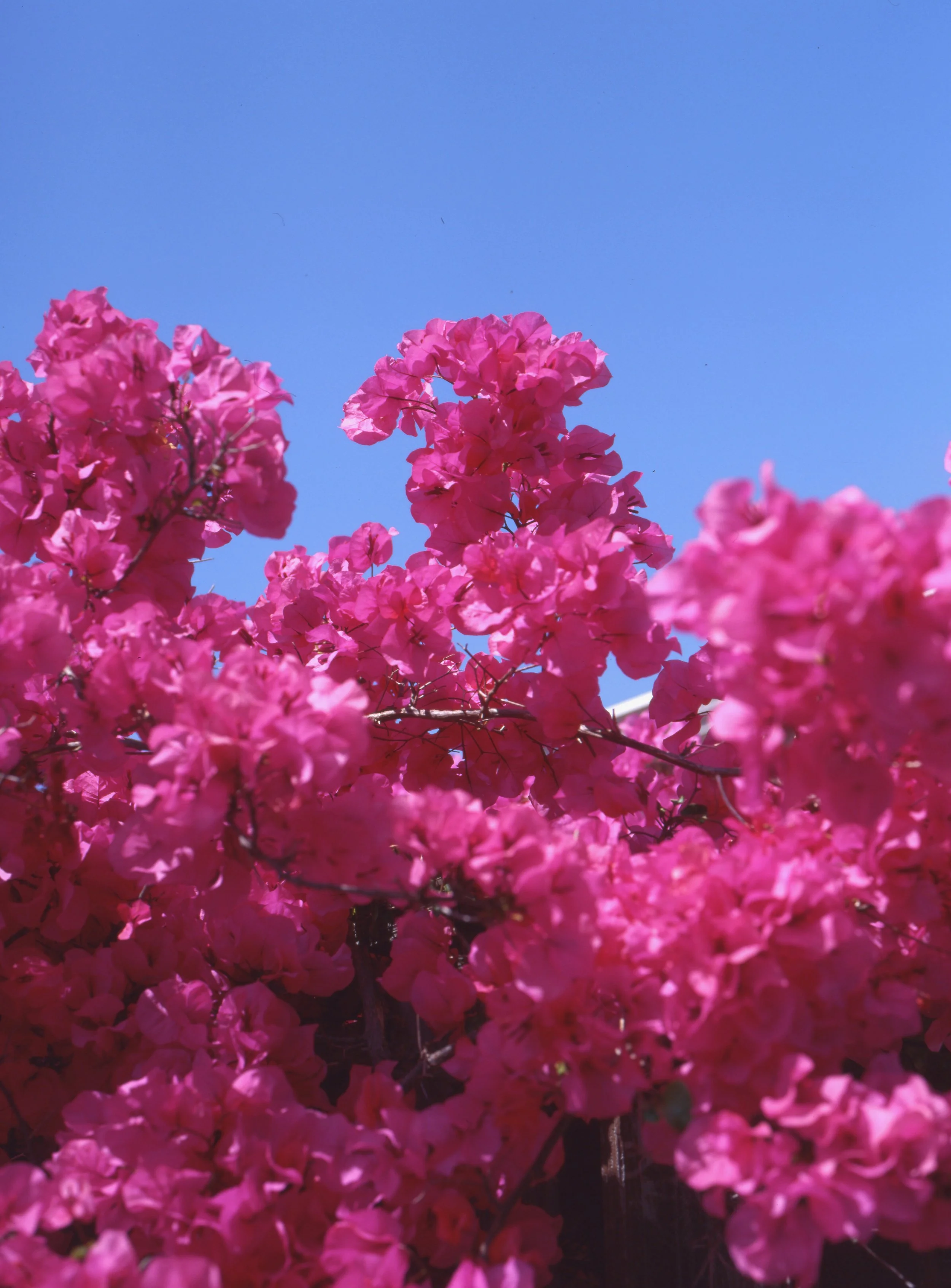 The Invisible Hand of the ISP