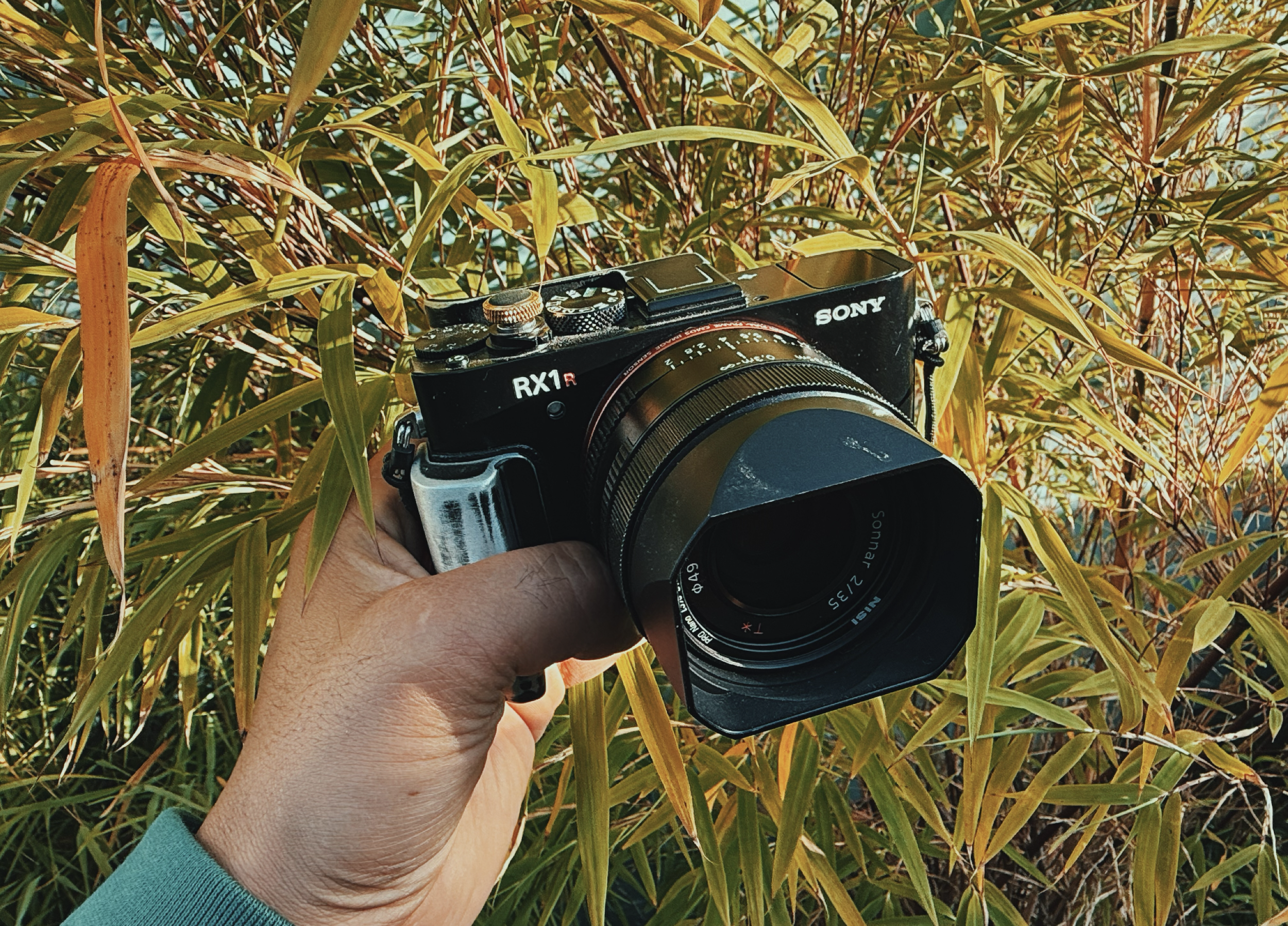 Sony RX1R II in 2026: Why the Old Compact Full-Frame Still Wins