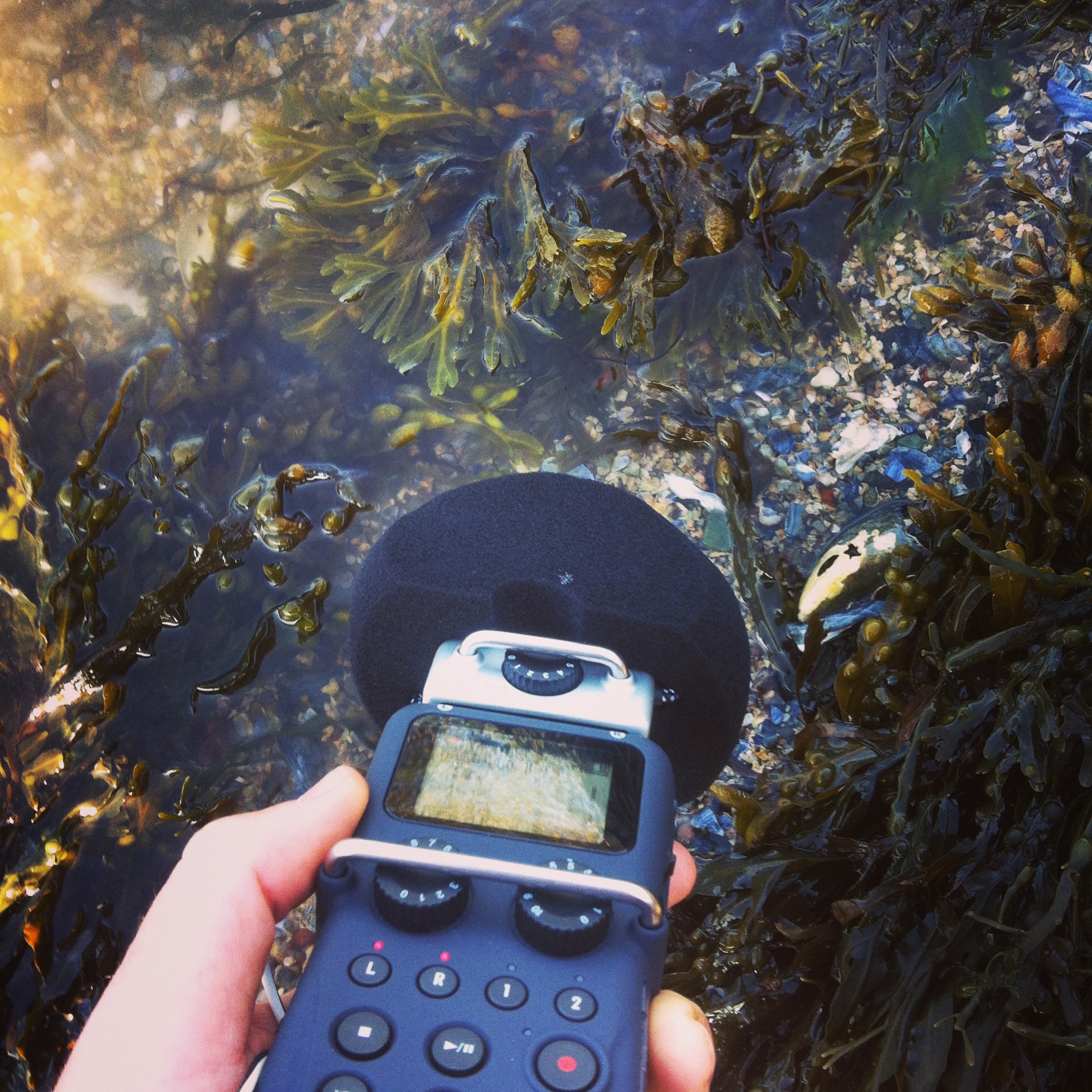  Recording ambient audio and doing my first audio diary while out at Vinalhaven Island, Maine. I have a return ticket in my wallet to help ensure I get back soon.&nbsp; 