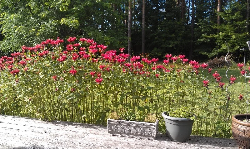 Just sitting, just eating.