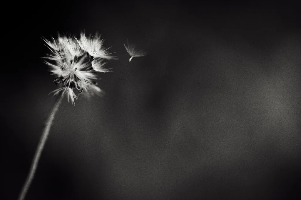 Non-residential Silent Retreat