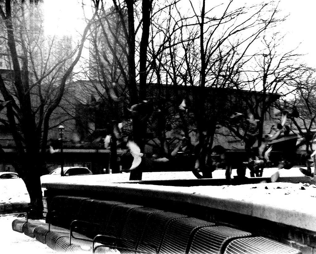 Sit & Way Seeking Minds Talk